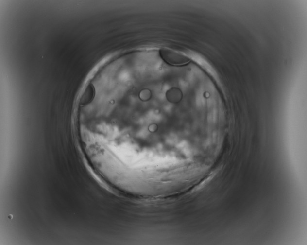 X0000085251429200703301800