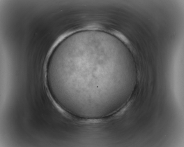 X0000085251430200703301800