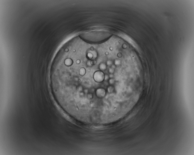 X0000085251431200703301800