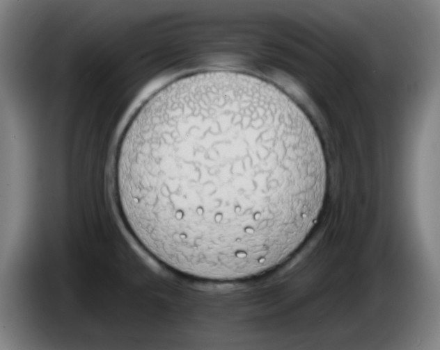 X0000085251432200703301800