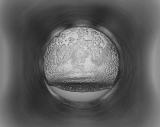 X0000085251433200703301800