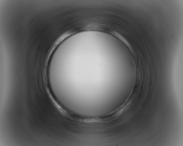 X0000085251434200703301800