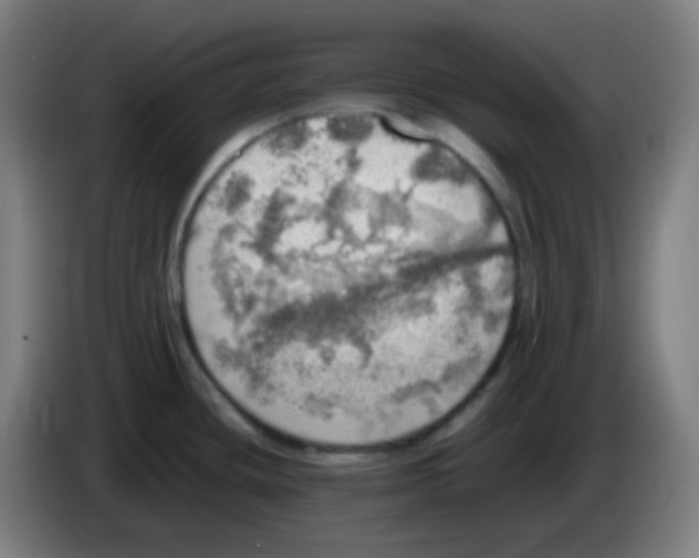 X0000085251436200703301800