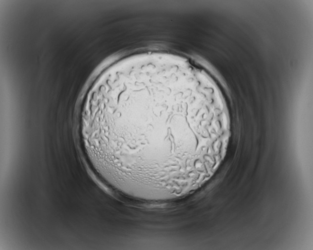 X0000085251437200703301800