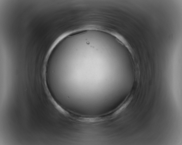 X0000085251438200703301800