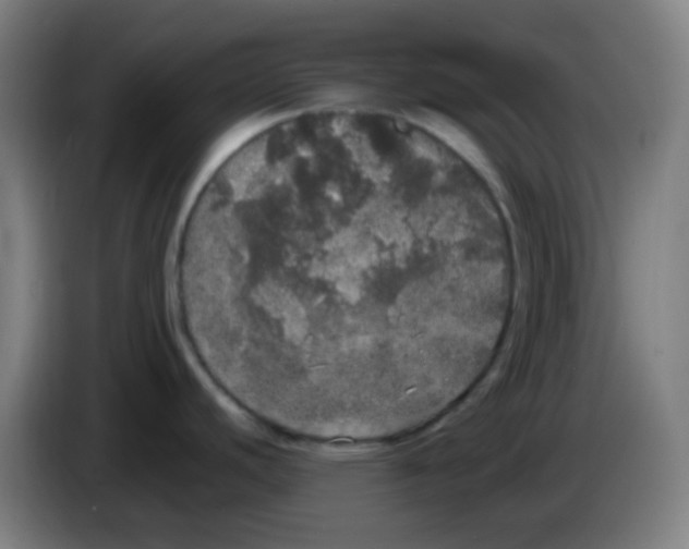 X0000085251440200703301800