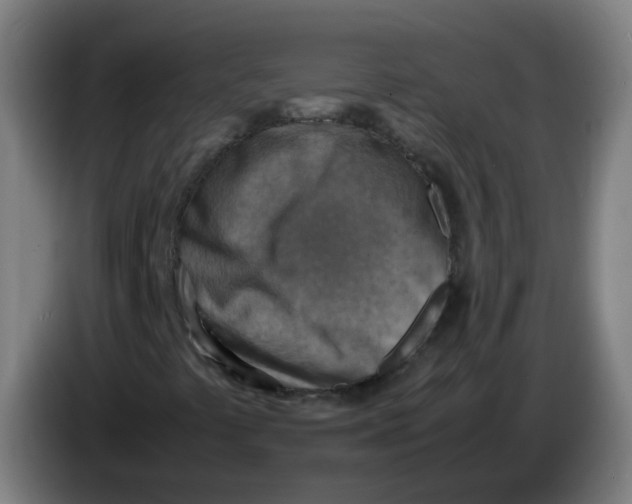 X0000085251441200703301759