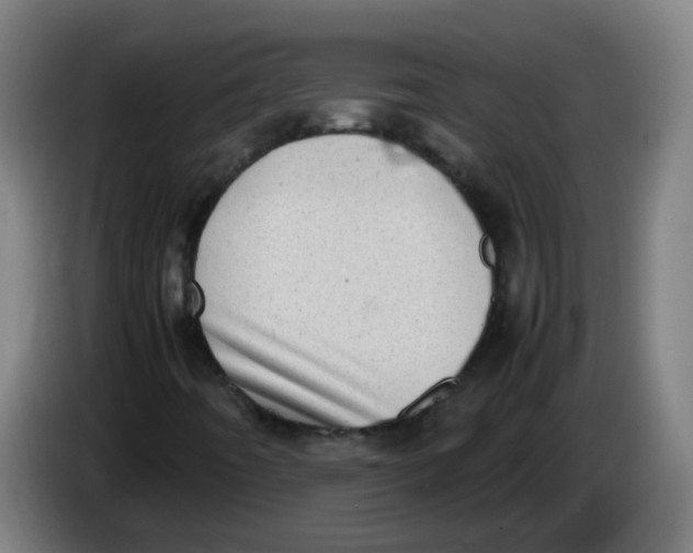 X0000085251442200703301759