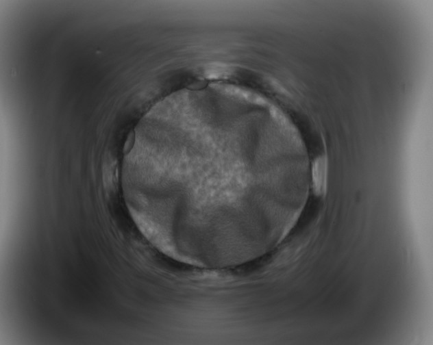 X0000085251443200703301759