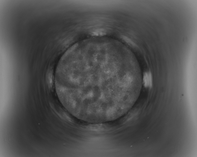 X0000085251444200703301759