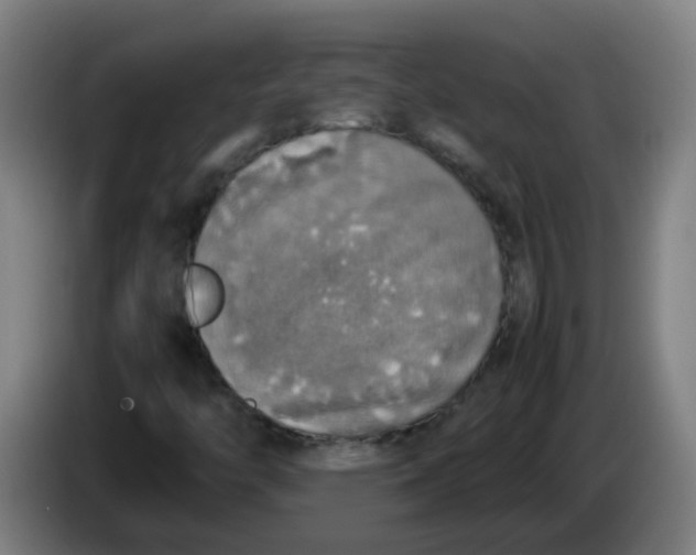 X0000085251446200703301759