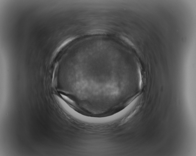 X0000085251453200703301759