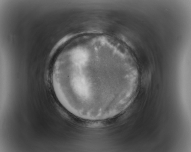 X0000085251454200703301759