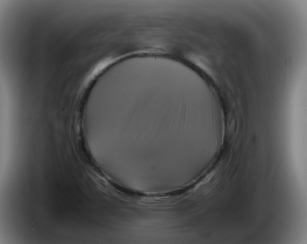 X0000085251455200703301759