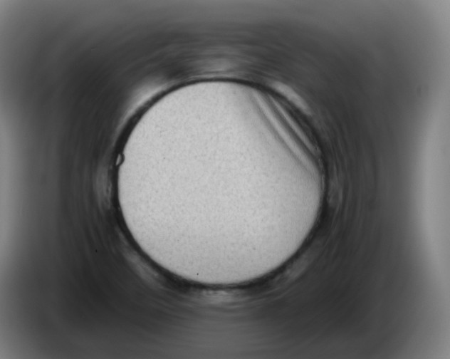 X0000085251458200703301759