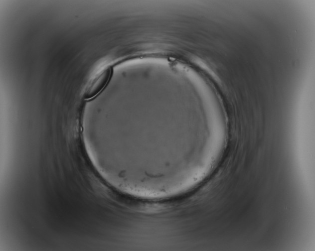 X0000085251459200703301759