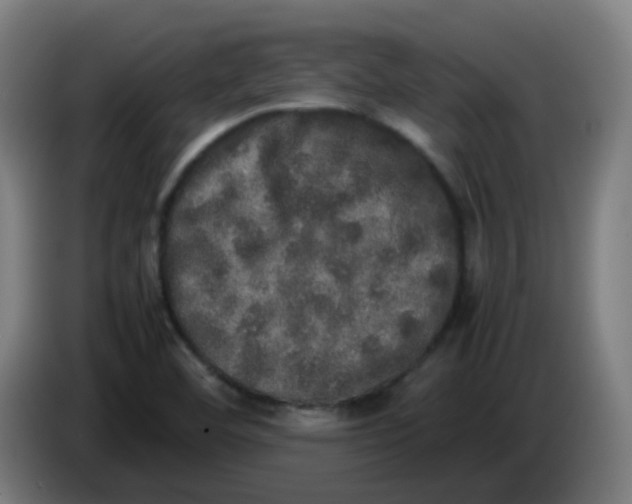 X0000085251460200703301759