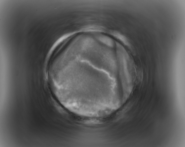 X0000085251462200703301759