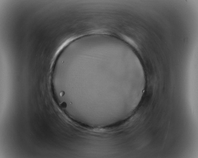 X0000085251463200703301759