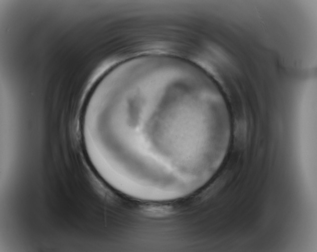 X0000085251466200703301759