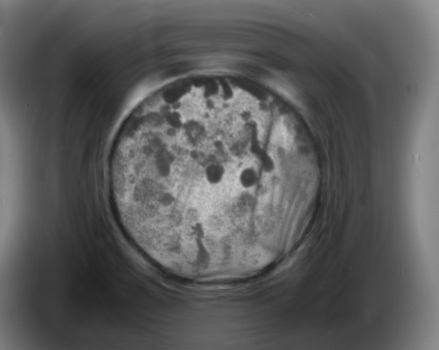 X0000085251467200703301759