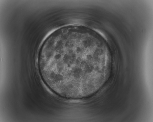 X0000085251468200703301758