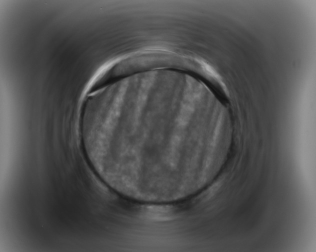 X0000085251469200703301758