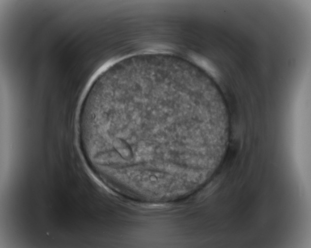 X0000085251471200703301758