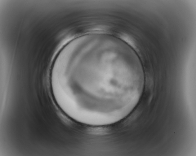 X0000085251474200703301758