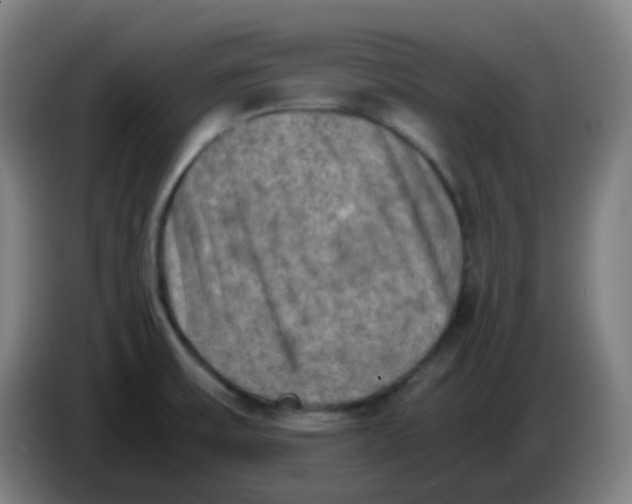 X0000085251475200703301758