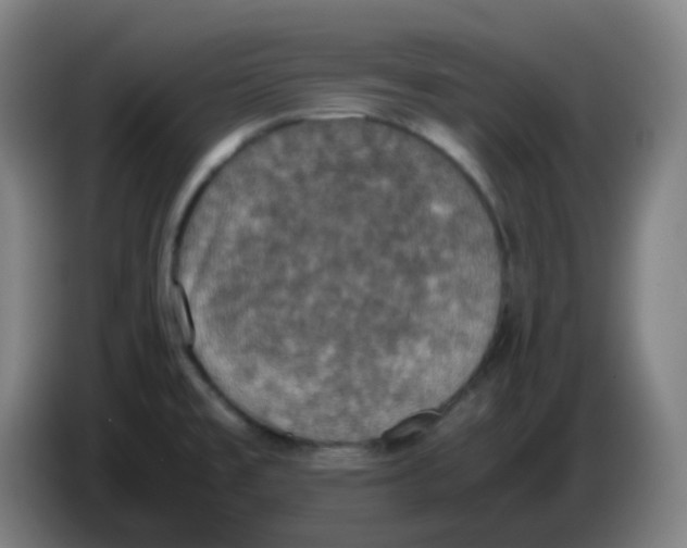 X0000085251477200703301758