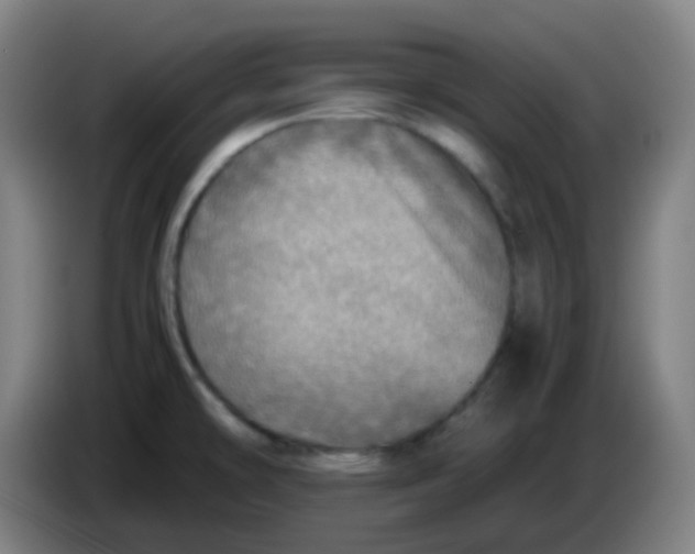 X0000085251478200703301758