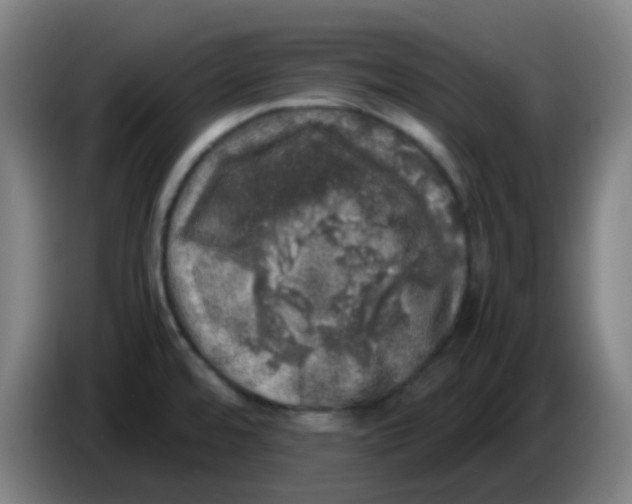 X0000085251480200703301758