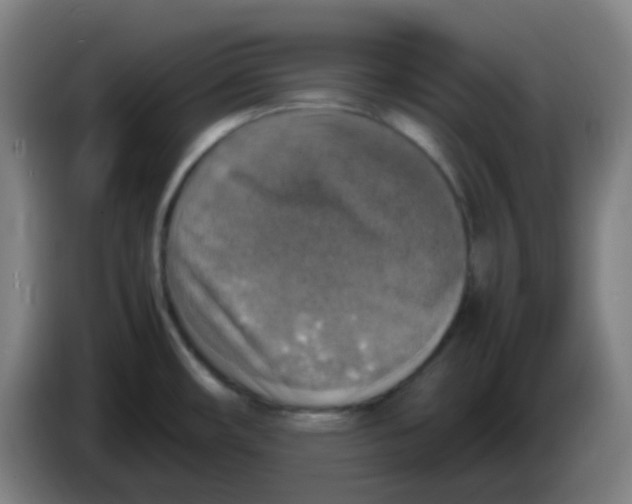 X0000085251482200703301758