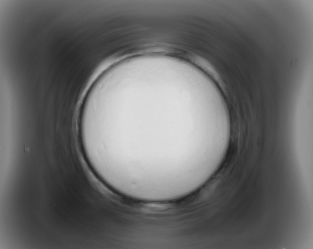 X0000085251483200703301758