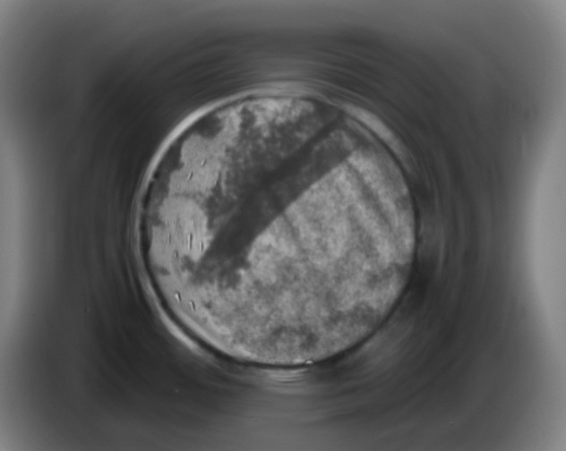 X0000085251484200703301758