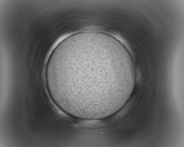 X0000085251486200703301758