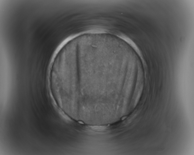 X0000085251488200703301758