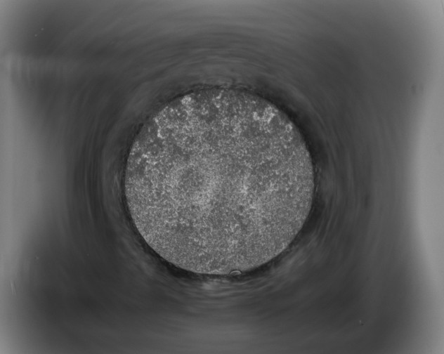 X0000085251489200703301758