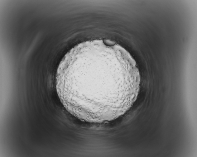 X0000085251490200703301758