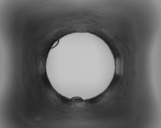 X0000085251491200703301758