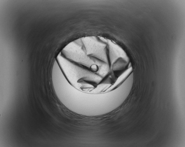 X0000085251492200703301758