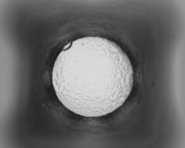 X0000085251493200703301758