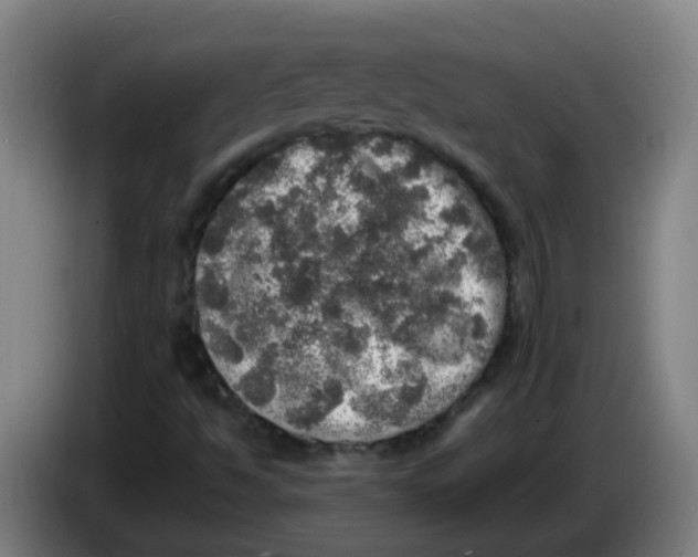 X0000085251494200703301758