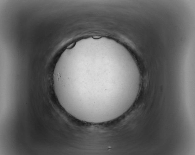 X0000085251496200703301758