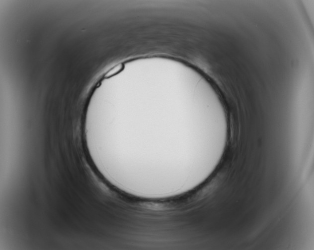 X0000085251500200703301758