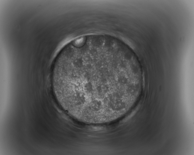 X0000085251501200703301758