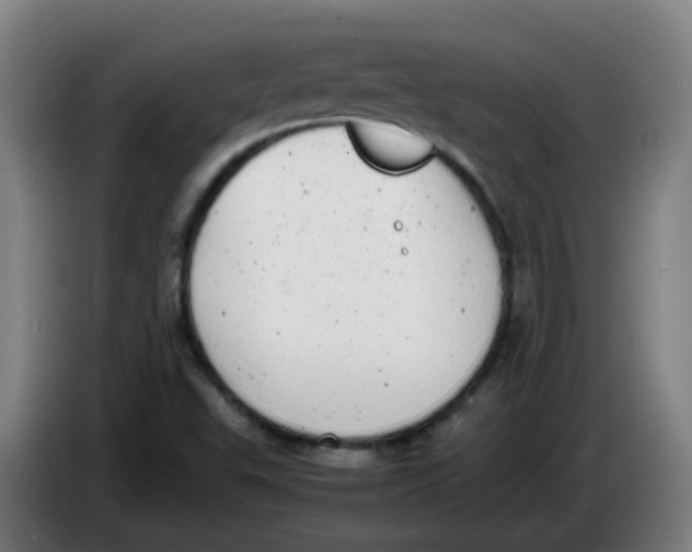 X0000085251503200703301758