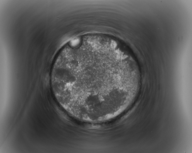 X0000085251505200703301758