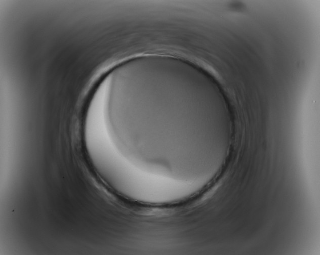 X0000085251506200703301758